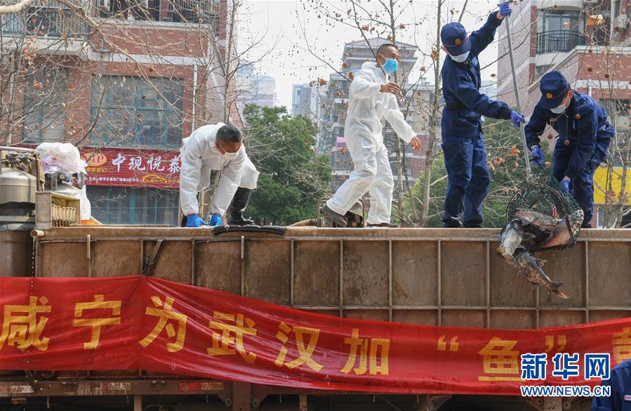 （新華全媒頭條·圖文互動）（12）從人民中汲取磅礴力量——習近平總書記同出席2020年全國兩會人大代表、政協(xié)委員共商國是紀實