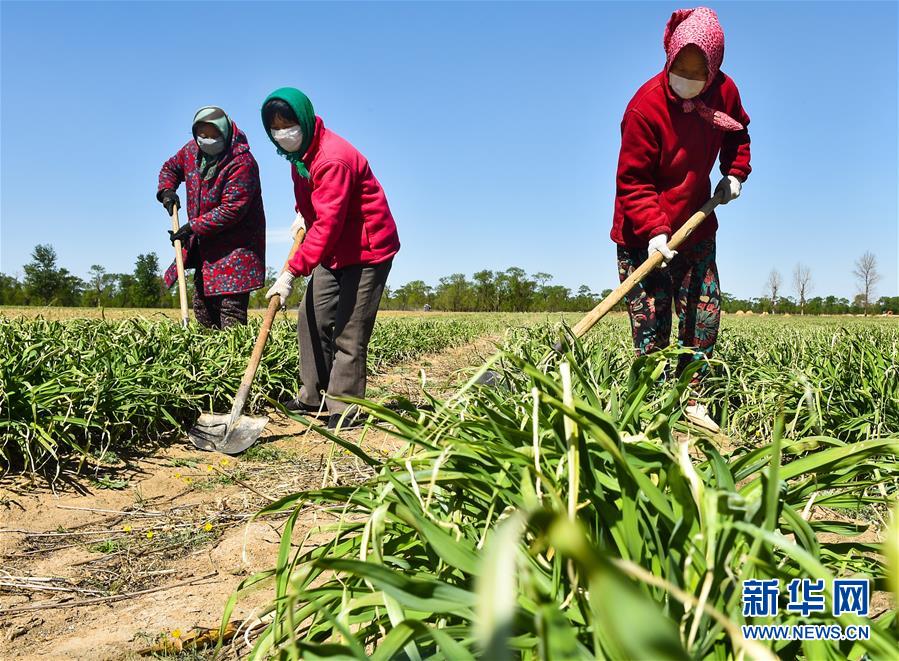 （新華全媒頭條·圖文互動）（17）從人民中汲取磅礴力量——習近平總書記同出席2020年全國兩會人大代表、政協(xié)委員共商國是紀實