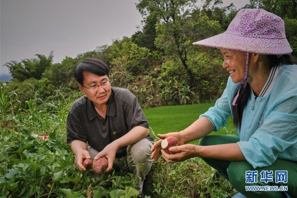 （走基層 聽民聲）（2）精準(zhǔn)扶貧讓五指山苗寨從脫貧摘帽到美麗鄉(xiāng)村